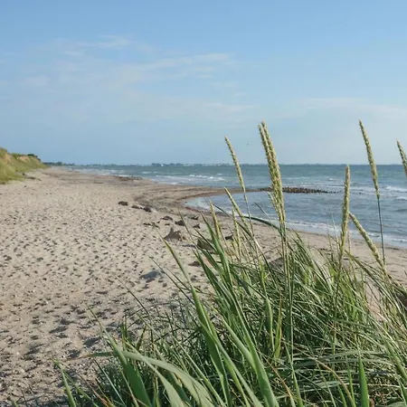 Haus Seeadler 5 * Süssau